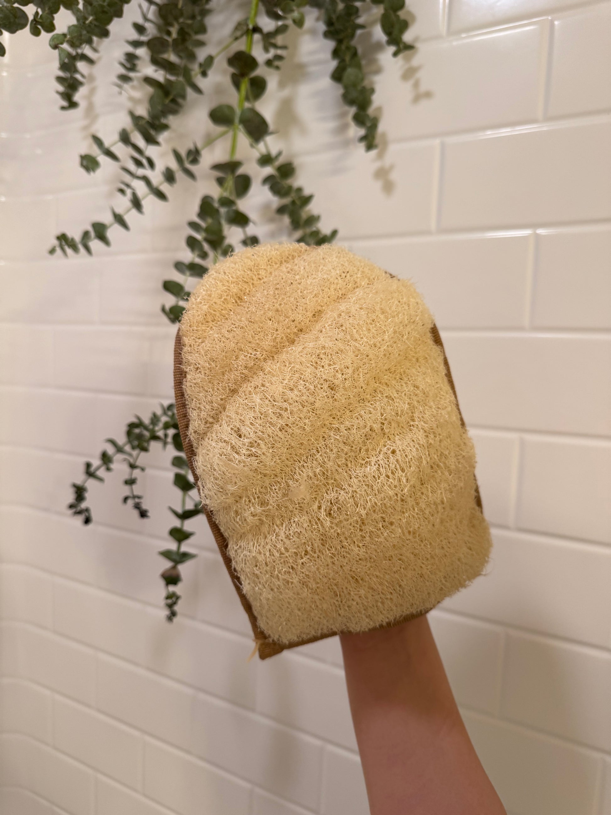 Natural loofah glove