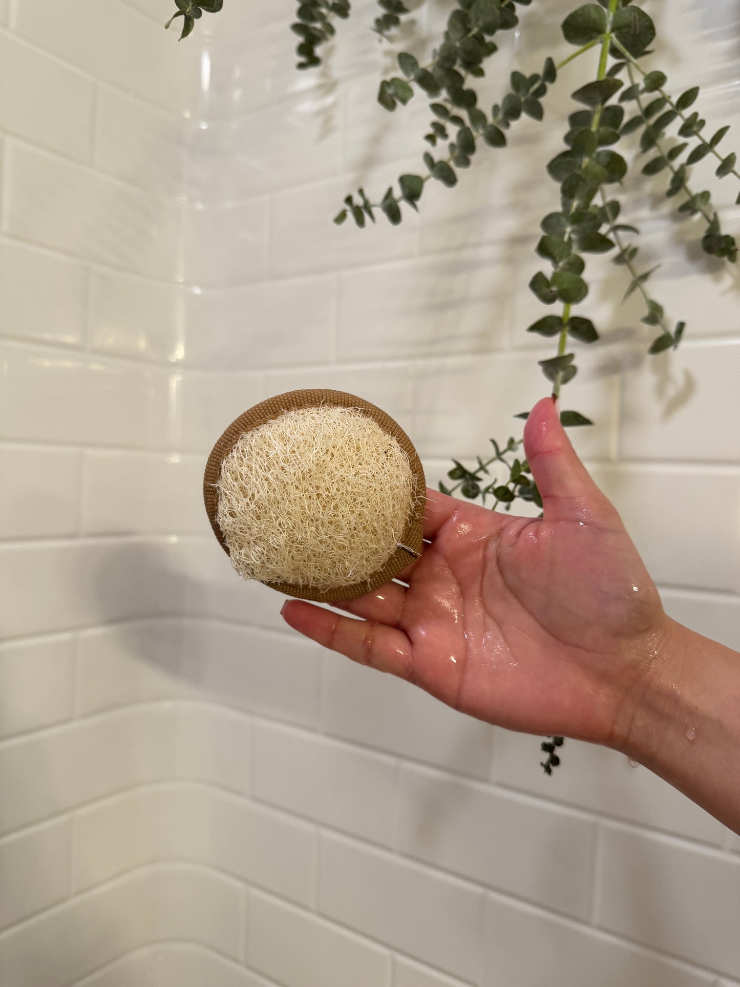 natural mini loofah